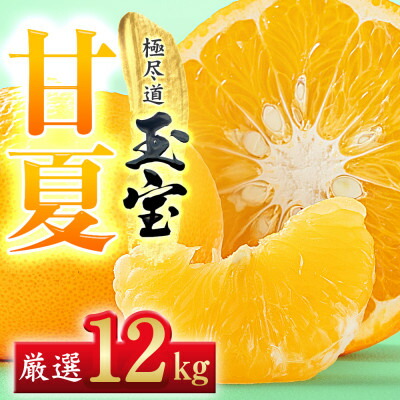 【ふるさと納税】【愛媛名産】玉宝甘夏　12kg【F64-75】【1621820】