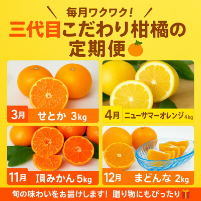 【ふるさと納税】【発送月固定定期便】柑橘【みかん・まどんな・せとか・ニューサマーオレンジ】【H31-46】全4回【4058612】