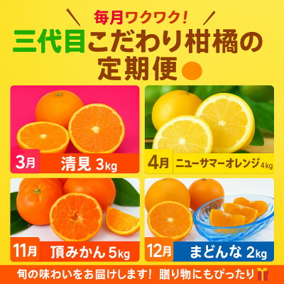楽天市場】【ふるさと納税】【発送月固定定期便】「こたつの上の 楽天市場】【ふるさと納税】【発送月固定定期便】「こたつの上の