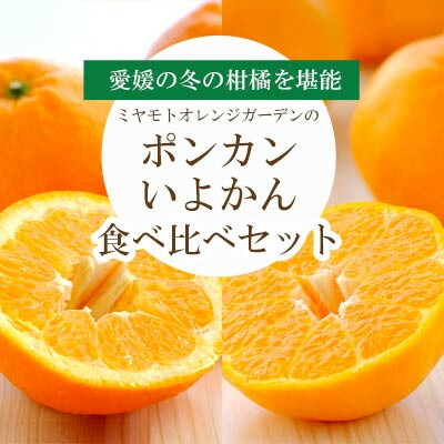 【ふるさと納税】愛媛の新春柑橘を食べ比べ! ポンカン・いよかんセット便【訳あり】【C25-194】【複数個口で配送】【4066395】
