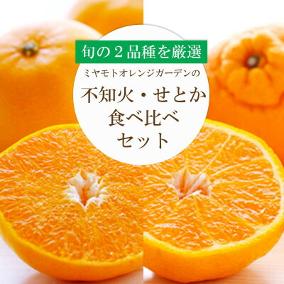 【ふるさと納税】愛媛の人気2品種をセットに!せとか・不知火 食べ比べ【訳あり】【D25-195】【複数個口で配送】【4066396】