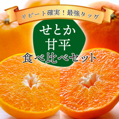 【ふるさと納税】愛媛の人気柑橘をセットに!せとか・甘平 食べ比べセット【訳あり】【F25-196】【複数個口で配送】【4066397】