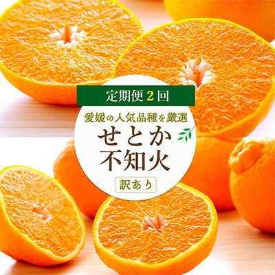 【ふるさと納税】【発送月固定定期便】愛媛の人気2品種を堪能!せとか・不知火食べ比べ【訳あり】【D25-202】全2回【4066443】