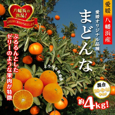 楽天市場】【ふるさと納税】2025年11月発送開始 ぷるぷる食感 楽天市場】【ふるさと納税】2025年11月発送開始 ぷるぷる食感