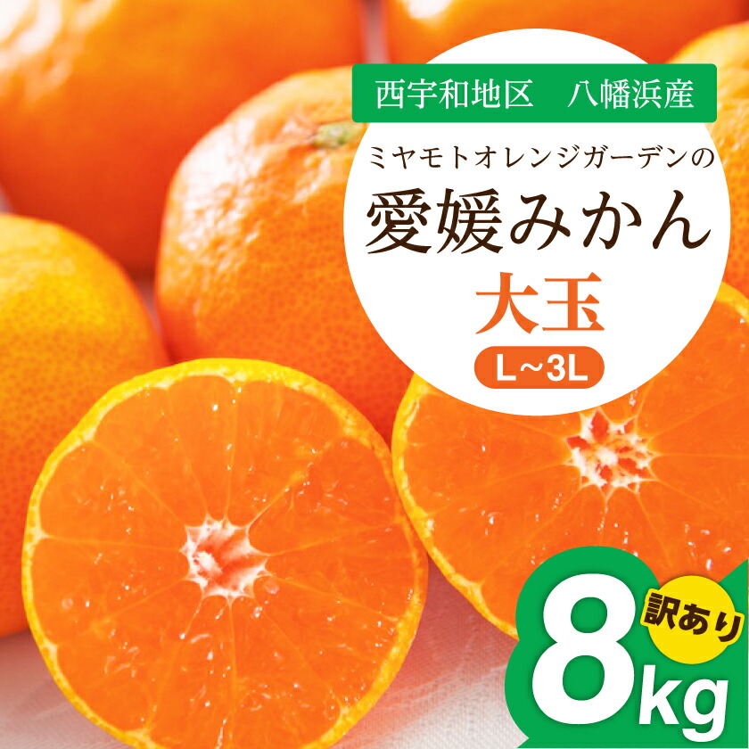 楽天市場】2026年1月分予約 愛媛産 味ピカ 小太郎みかん 2kg 30