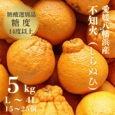 【ふるさと納税】【糖度14.0以上酸1.4以下】糖酸選別品 愛媛産 不知火 (しらぬひ) 5kg【D20-61】【配送不可地域：離島】【1620228】