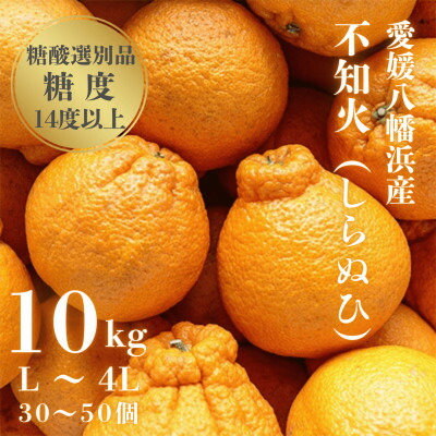 【ふるさと納税】＼糖度14.0以上酸1.4以下/糖酸選別品 愛媛産 不知火 (しらぬひ) 10kg【D20-8】_ デコポン と同品種 しらぬい みかん オレンジ フルーツ 旬 果物 柑橘 愛媛県 愛媛 人気 愛媛みかん 【配送不可地域：離島】【1094587】