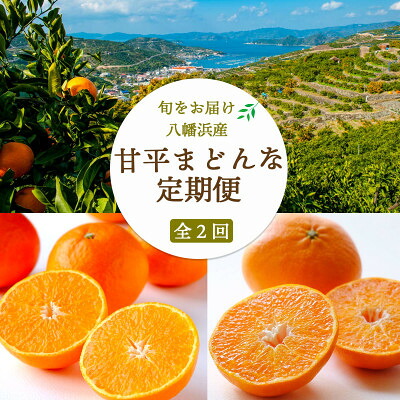 ふるさと納税 「こたつの上の冬物語」人気の4品種!全4回 愛媛県八幡浜市 ふるさと納税 果物類 みかん 愛媛県 八幡浜市 発送月固定定期便