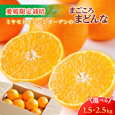 楽天市場】【ふるさと納税】希少品種(赤秀品)真っ赤な 極早生