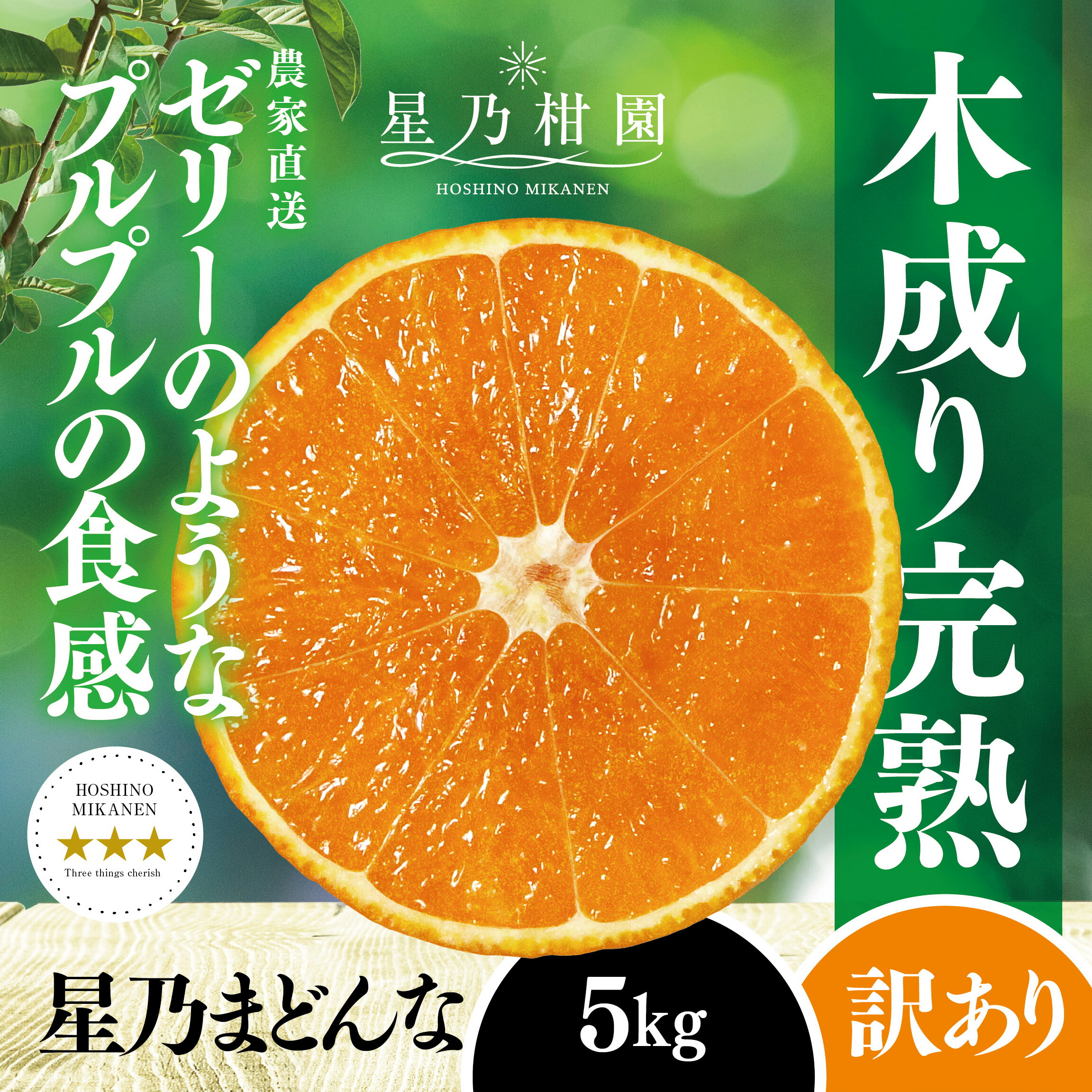 専用⭐みかん❤トロっふわ❤Wボア☆特大ブランケット❤ナチュラルチェック⭐ やわもちアイス みかん大福味」発売のご案内 | ニュースリリース