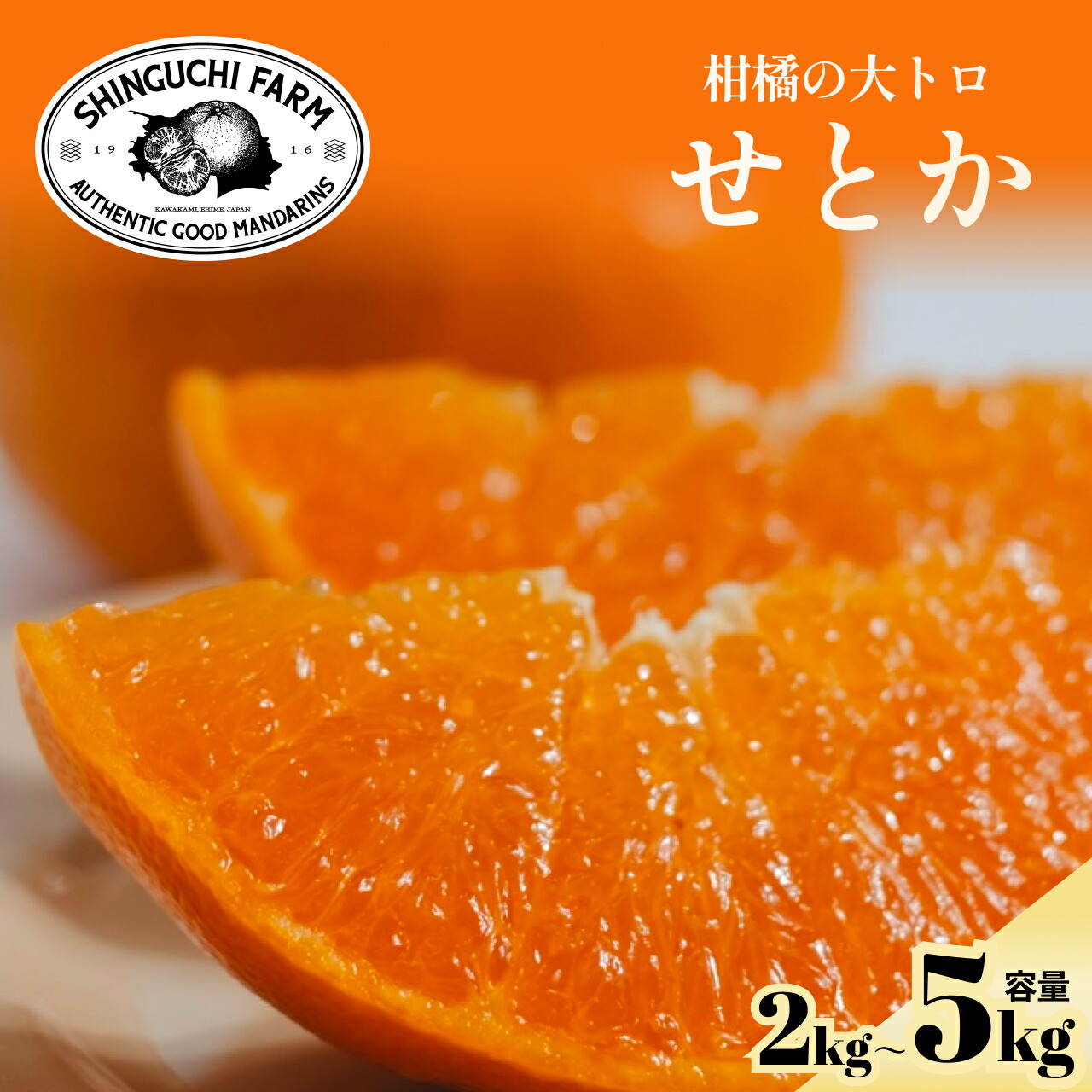 楽天市場】【ふるさと納税】極撰柑橘【雅】光センサー合格品・柑橘の大