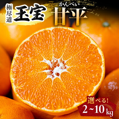 楽天市場】【ふるさと納税】家庭用 愛媛果試48号(紅プリンセスと同品種