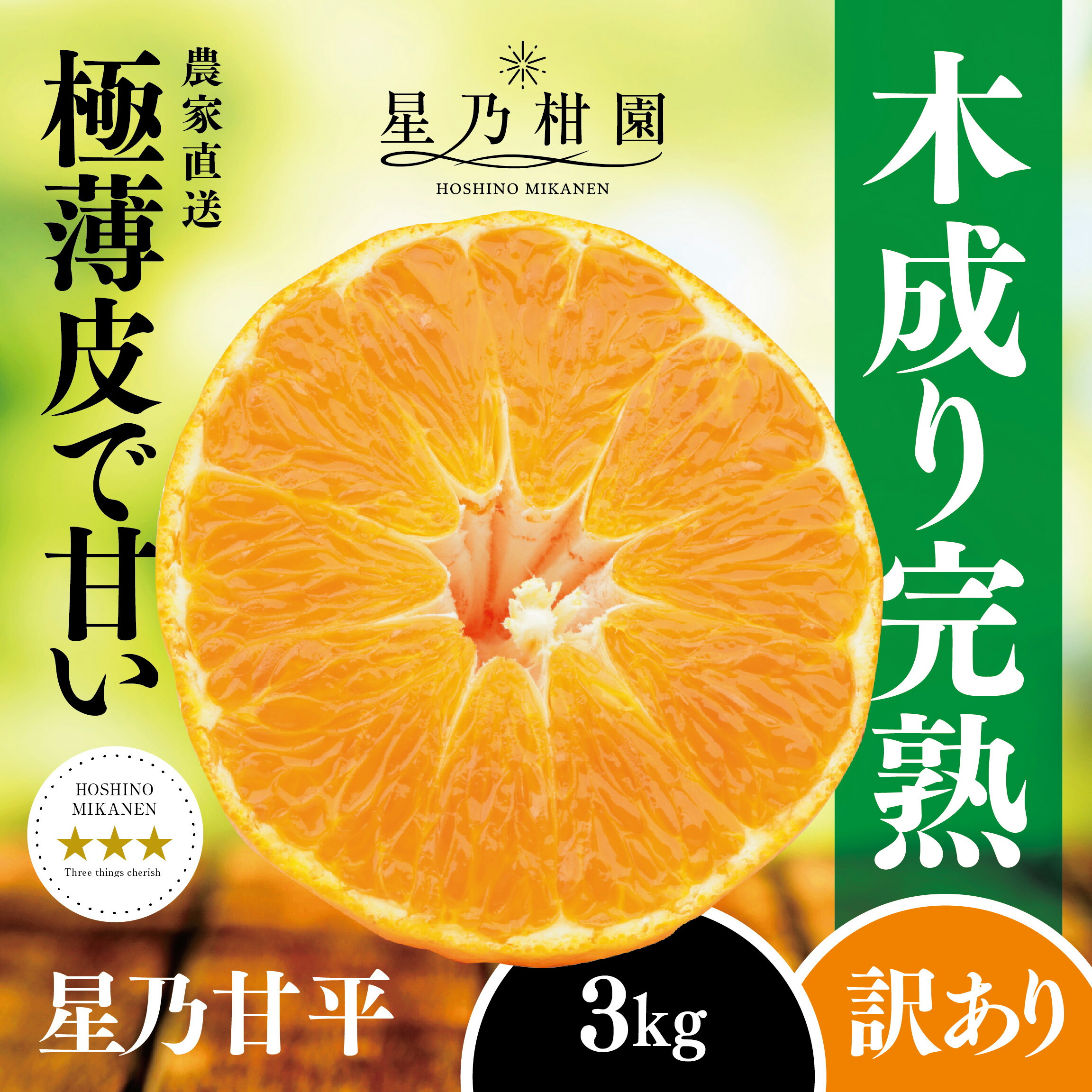 891/抽象画風/柑橘類/F10号891/抽象画風/柑橘類/F10号 891/抽象画風/柑橘類/F10号 - メルカリ