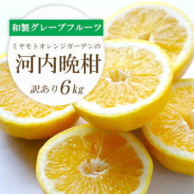 【ふるさと納税】【2025年4月下旬】苦味の少ない和製グレープフルーツ 河内晩柑6kg(訳あり)【C25-136】_ みかん ミカン 河内晩柑 晩柑 柑橘 フルーツ ふるーつ 果物 くだもの 果実 青果 ジューシー 甘い 愛媛 旬 和製グレープフルーツ 【配送不可地域：離島】【1151745】