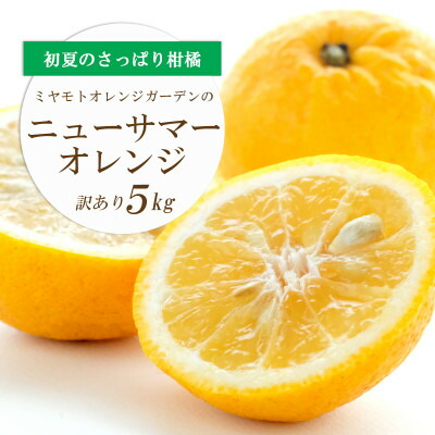 【ふるさと納税】【2025年4月下旬頃出荷】ワタまでおいしい ニューサマーオレンジ5kg(訳あり)【C25-140】【配送不可地域：離島】【1268369】