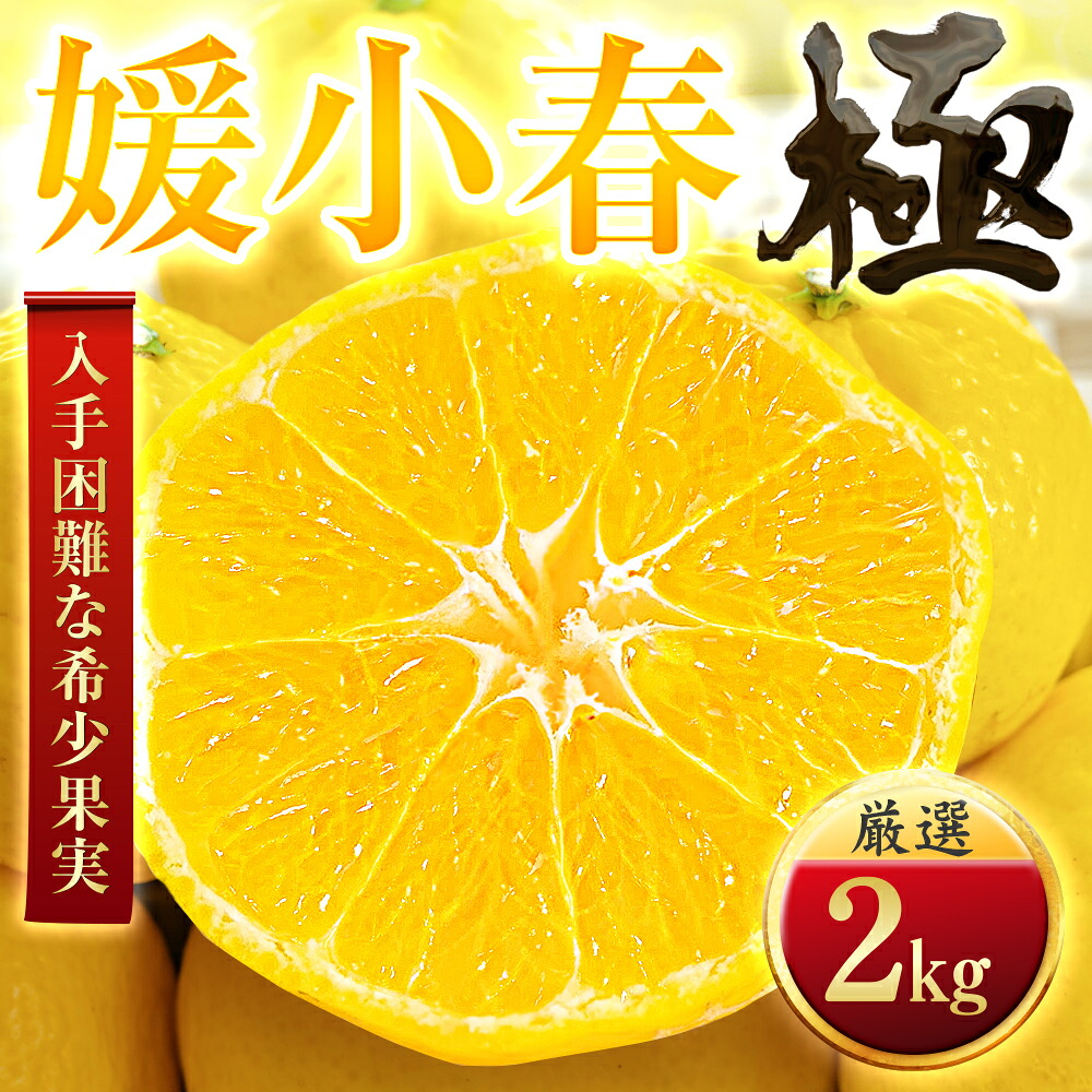 【ふるさと納税】【太陽をたっぷり浴びた】媛小春(ひめこはる)【極】2kg / 3kg / 5kg / 10kg_ みかん ミカン 蜜柑 ひめこはる 媛小春 果物 くだもの フルーツ デザート おいしい 希少 かんきつ 柑橘 柑橘類 国産 愛媛 愛媛県 八幡浜市 産直【G1623959】YWTZ083