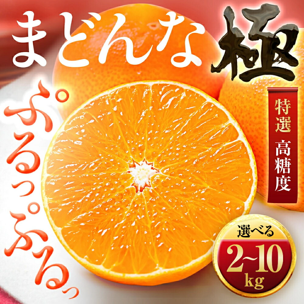 【ふるさと納税】【先行受付】【今年も売れてます】ぷるぷる食感【まどんな】2kg/3kg/5kg/10kg ※紅まどんな と同品種 みかん 柑橘 まどんな 果物 くだもの フルーツ 人気 おすすめ 送料無料 甘い 濃厚 愛媛県 八幡浜市 【G1416588】 YWTZ014|愛媛県八幡浜市