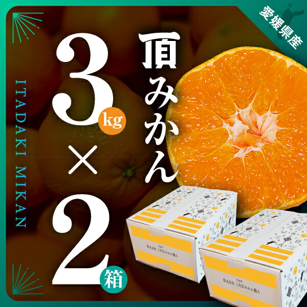 【ふるさと納税】【先行受付】三代目がつくる【頂みかん】3kg&times;2箱【D31-21】_ みかん ミカン 柑橘 フルーツ 果物 くだもの 青果 産地直送 産直 3kg セット 2箱 【1503338】 YWTAC011｜愛媛県八幡浜市