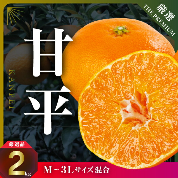 【ふるさと納税】【愛媛限定】驚きの甘さ!幻の柑橘《甘平》2kg(M～3L玉混合)【D31-55】_【1660047】 YWTAC044