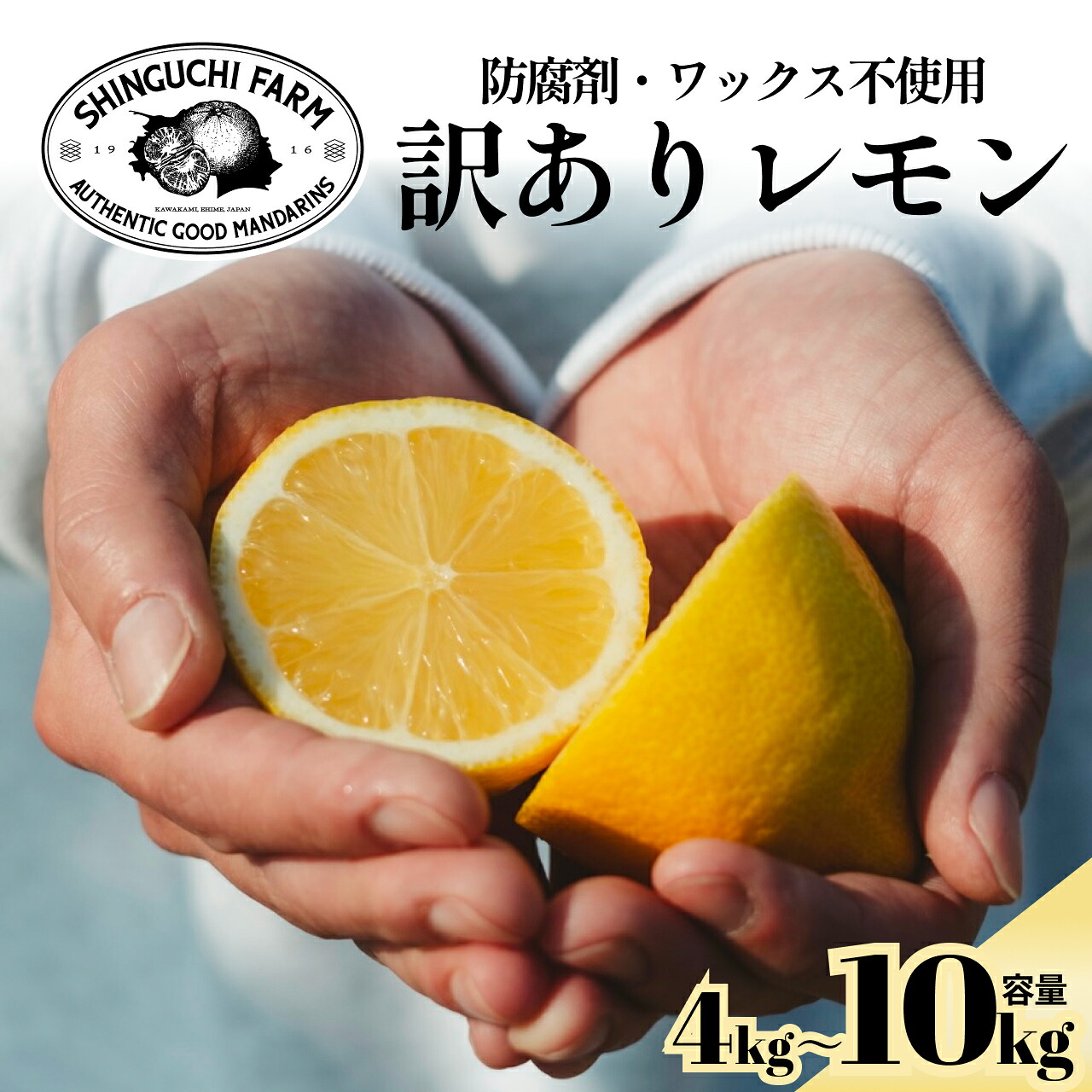 【ふるさと納税】【先行受付】【太陽の恵みをギュッと凝縮】訳あり 愛媛レモン 防腐剤・ワックス不使用【C70-74】選べる容量 4kg / 5kg / 10kg ふるさと納税 レモン れもん 檸檬 訳あり 果物 くだもの フルーツ かんきつ 柑橘 産地直送 八幡浜市【1622582】YWTK073|愛媛県八幡浜市