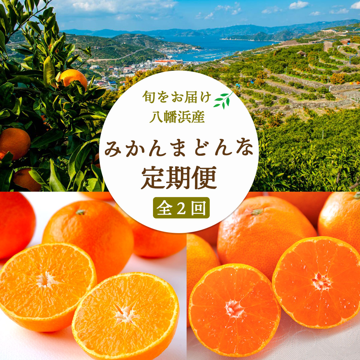 【ふるさと納税】【発送月固定定期便】みかんまどんな食べ比ベ(3kg&2.5kg)【F25-198】全2回_【4066099】YWTAP139｜愛媛県八幡浜市
