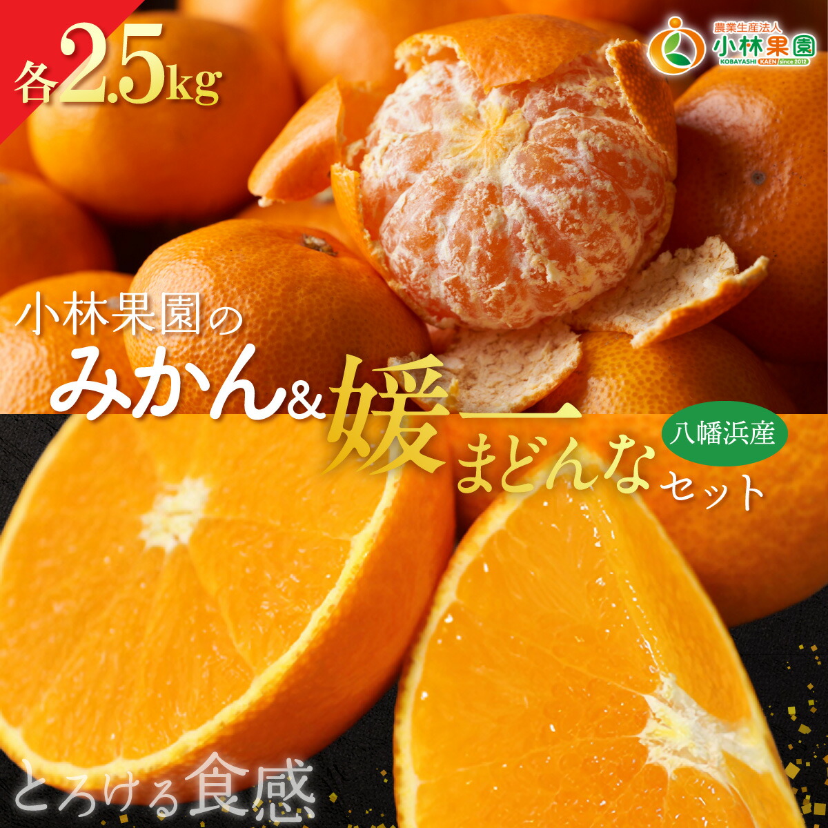 【ふるさと納税】【先行受付】小林果園のみかん&媛一まどんなセット(各約2.5kg入)【C24-17】YWTAD010｜愛媛県八幡浜市 9,880円