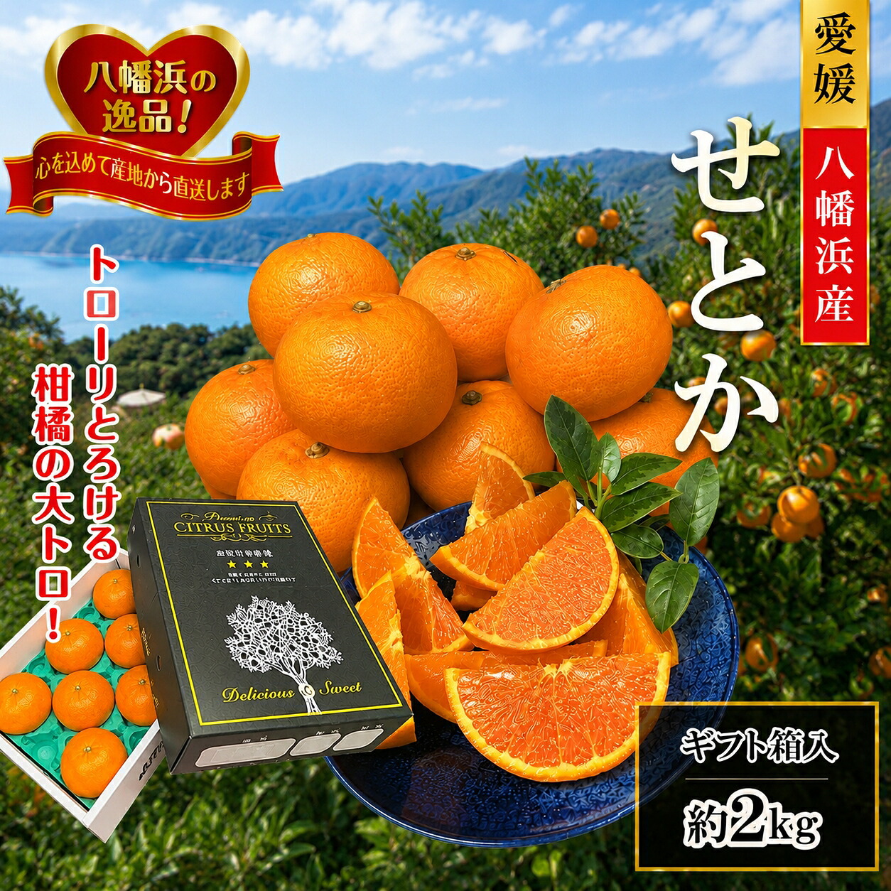 【ふるさと納税】【先行受付】柑橘の大トロ!!「せとか」約2kg 【C39-55】_ みかん ミカン 柑橘 せとか 果物 くだもの フルーツ 旬 愛媛 柑橘の大トロ 濃厚 甘み 国産 産直 産地直送 化粧箱 【配送不可地域：離島】【1462367】YWTF030｜愛媛県八幡浜市 8,030円