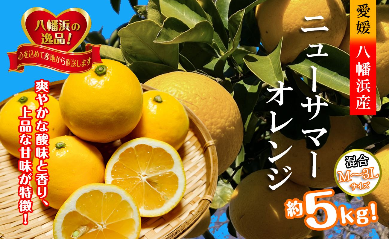 【ふるさと納税】2026年4月発送開始　さわやかな香りと上品な甘さ!「ニューサマーオレンジ」約5キロ【D39-83】_【配送不可地域：離島】【1649781】YWTF058