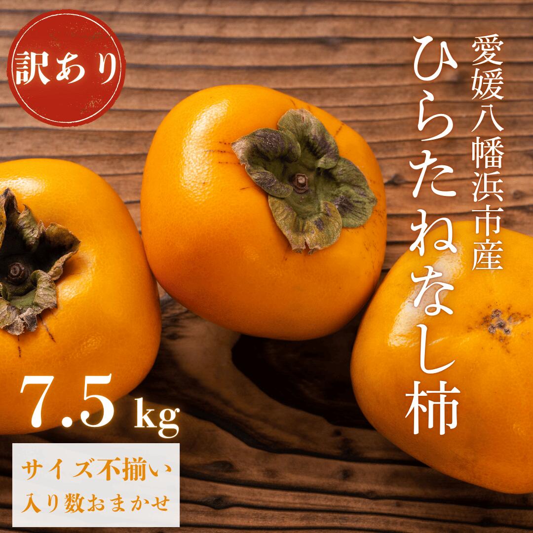 【ふるさと納税】【先行受付】《秋の味覚 種なしで食べやすい》 訳あり ひらたねなし柿 7.5kg【D20-36】_【1594868】 YWTI031|愛媛県八幡浜市