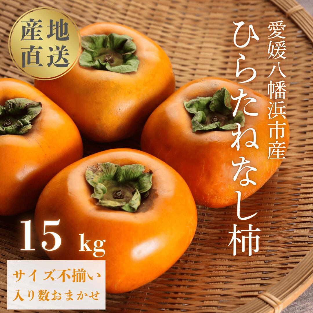 【ふるさと納税】【先行受付】《秋の味覚 種なしで食べやすい》 ひらたねなし柿 15kg (7.5kg&times;2箱)【H20-40】_【1594098】 YWTI035｜愛媛県八幡浜市