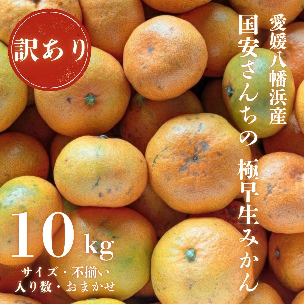 【ふるさと納税】【先行受付】【創業85年 親子4代 愛媛みかん 一筋】愛媛八幡浜産 訳あり極早生みかん 10kg【D20-47】_【1594916】 YWTI042｜愛媛県八幡浜市