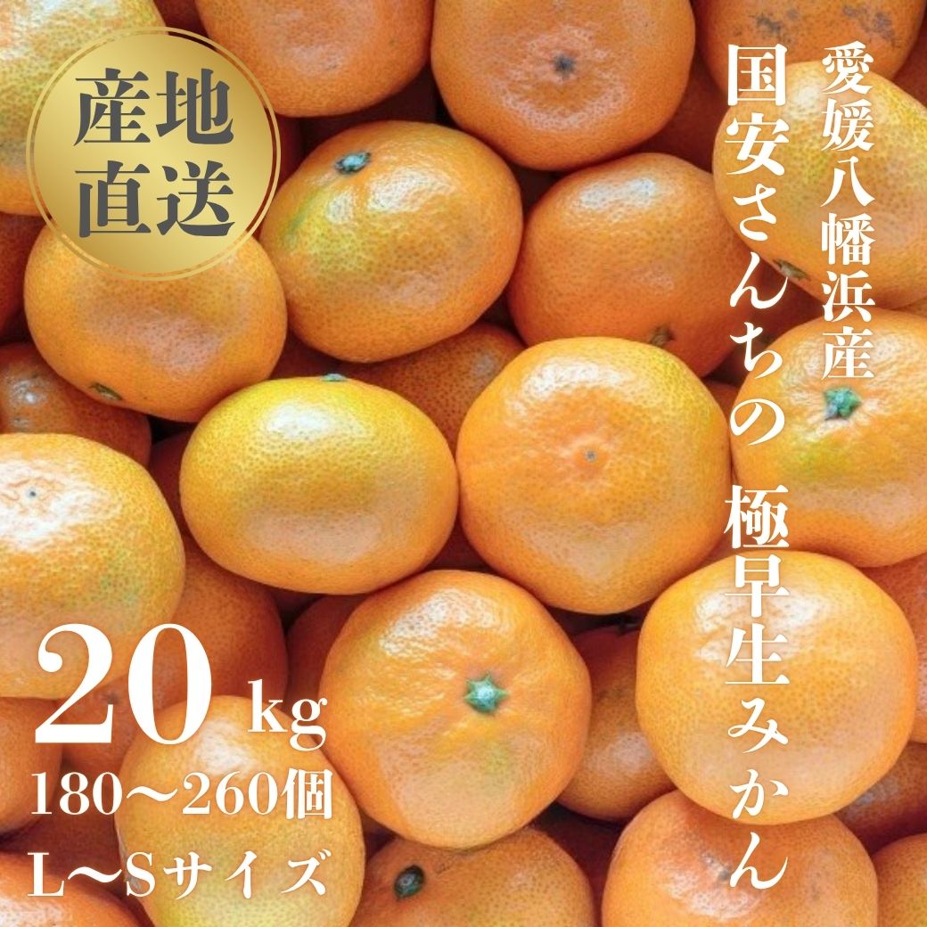 【ふるさと納税】【先行受付】【創業85年 親子4代 愛媛みかん 一筋】愛媛八幡浜産 極早生みかん 20kg【H20-86】_【1625218】 YWTI081|愛媛県八幡浜市