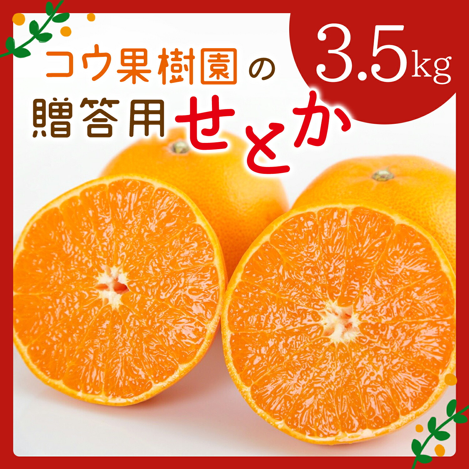 【ふるさと納税】【先行受付】コウ果樹園の贈答用【せとか】3.5kg(バラ詰め)【D33-34】_ みかん ミカン せとか 柑橘 フルーツ 果物 くだもの 完熟 産直 産地直送 甘い ジューシー 高糖度 愛媛 希少 おすすめ 人気 送料無料 【1457340】YWTG016｜愛媛県八幡浜市