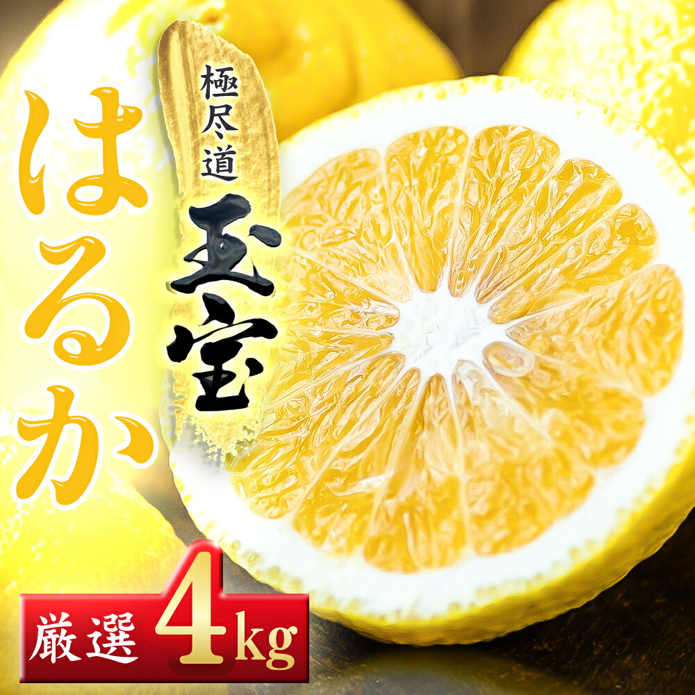 【ふるさと納税】【先行受付】【愛媛名産】玉宝はるか 4kg /5kg /10kg_ はるか ハルカ 玉宝はるか 愛媛はるか 玉宝 みかん 愛媛のみかん サイズ混合 柑橘 希少 ニューサマーオレンジ 果物 フルーツ 美味しい 濃厚 さわやか 甘い 愛媛 愛媛県 八幡浜市 【G1511256】 YWTY044｜愛媛県八幡浜市