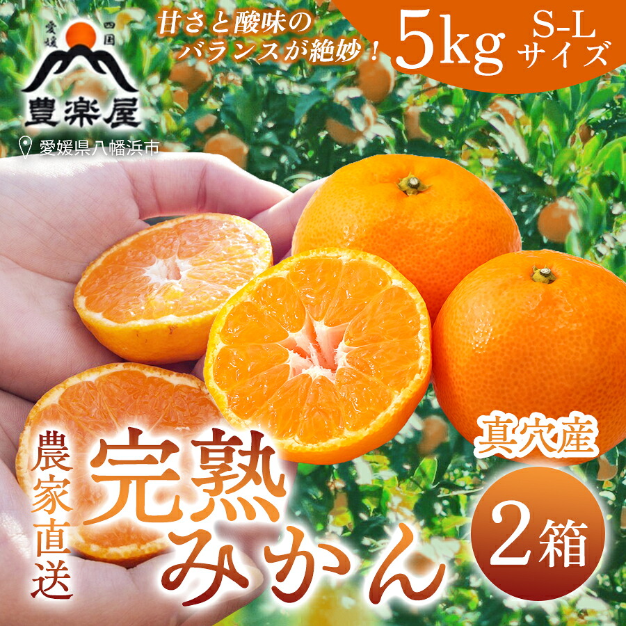 【ふるさと納税】【先行受付】【農家直送でお届け!】果汁たっぷり真穴産みかん 5kg×2箱(S~Lサイズ)【H98-12】_【1711288】 YWTBU012|愛媛県八幡浜市