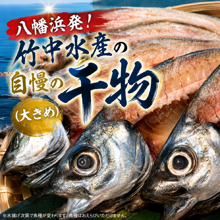 【ふるさと納税】八幡浜発！竹中水産の地物の干物６枚セット（大サイズ）【22-295】YWTM109｜愛媛県八幡浜市