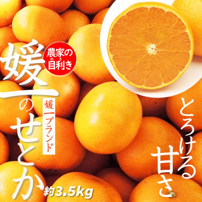 楽天市場】【ふるさと納税】愛媛の人気柑橘2品種をセットに!せとか・甘