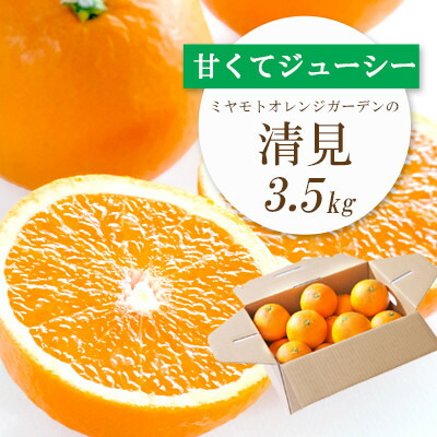【ふるさと納税】【2025年4月上旬以降発送】果汁たっぷり ジューシー清見3.5kg【C25-129】_ みかん ミカン オレンジ 清見 きよみ 愛媛県 フルーツ 果物 くだもの 柑橘 かんきつ 人気 産地直送 産直 ジューシー 甘い 果汁 糖度 タンゴール 【配送不可地域：離島】【1044409】