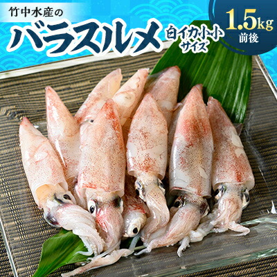楽天市場】【ふるさと納税】竹中水産のオススメ「剣先イカ2キロ 楽天市場】【ふるさと納税】竹中水産のオススメ「剣先イカ2キロ