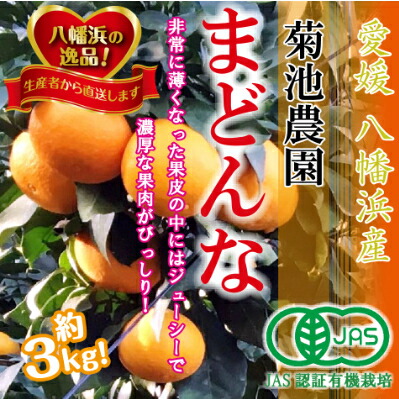 【ふるさと納税】【JAS認証有機栽培】こんな柑橘初めて！！プルプル新食感！！「まどんな」約3kg【C39-25】【1044609】