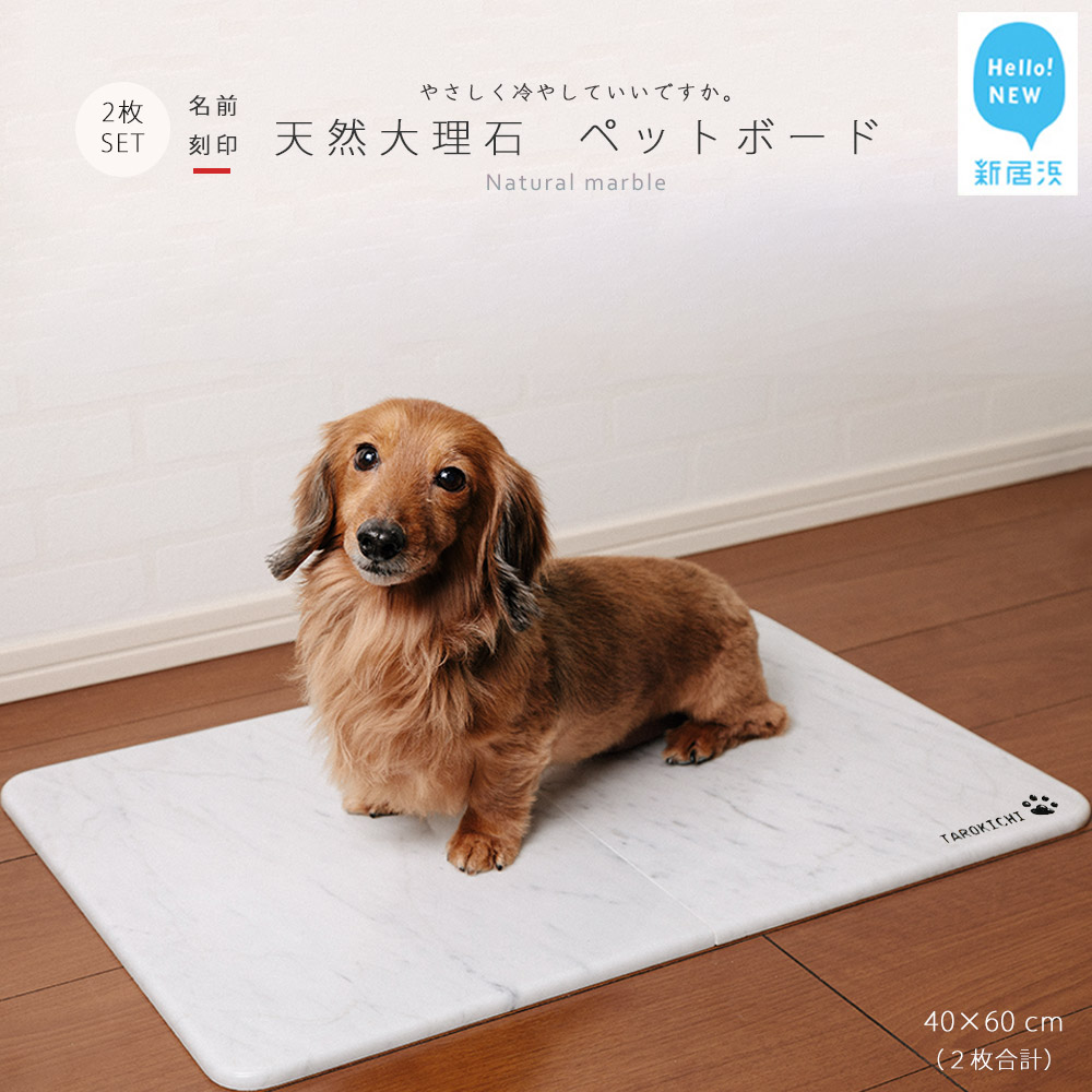 新やって行く勇気付ける特集