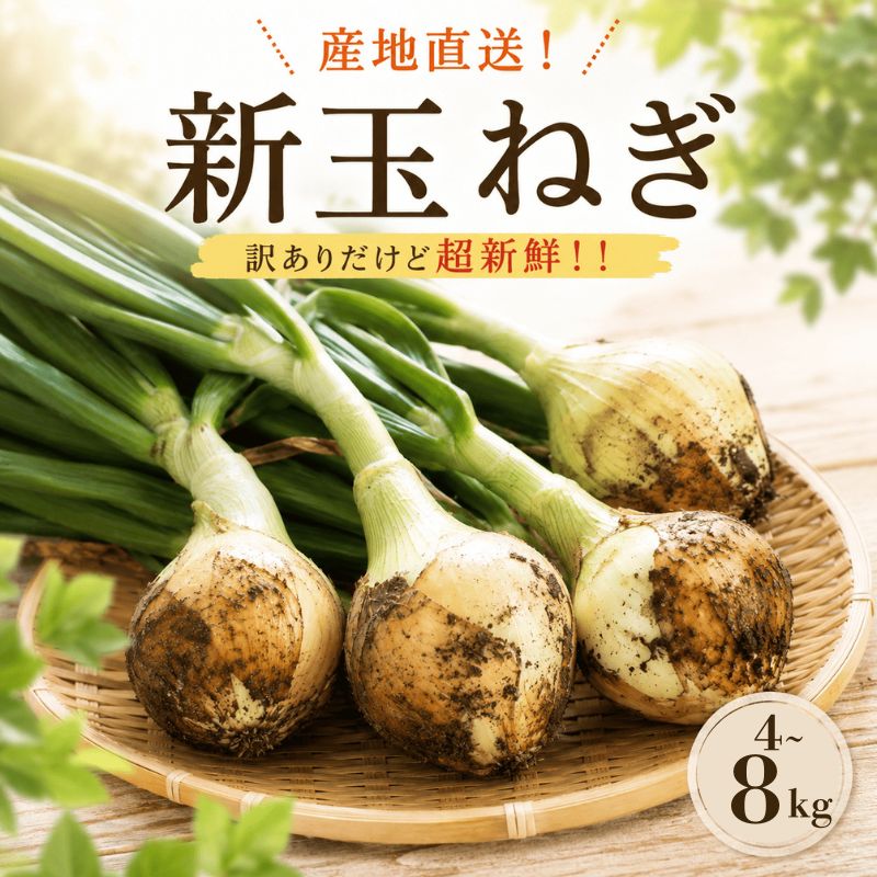 【ふるさと納税】 新たまねぎ 4kg~8kg 先行予約 土付き ネギ頭付き 国産 旬 野菜 家庭用 サラダ 炒め物 みずみずしい 甘み やわらかい 産直 産地直送 不揃い サイズ混合 保存便利 加熱調理 生食対応 春野菜 ご当地 野菜セット ふるさと納税 愛媛県 新居浜市 むぎとのやさい｜愛媛県新居浜市
