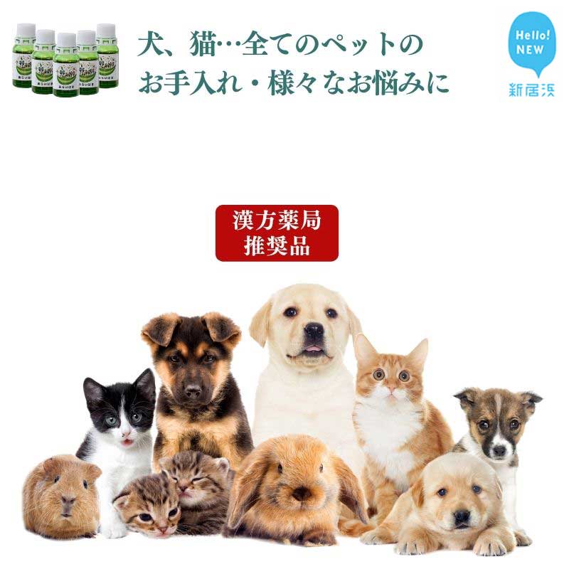 新遣って行く勇気付ける特集