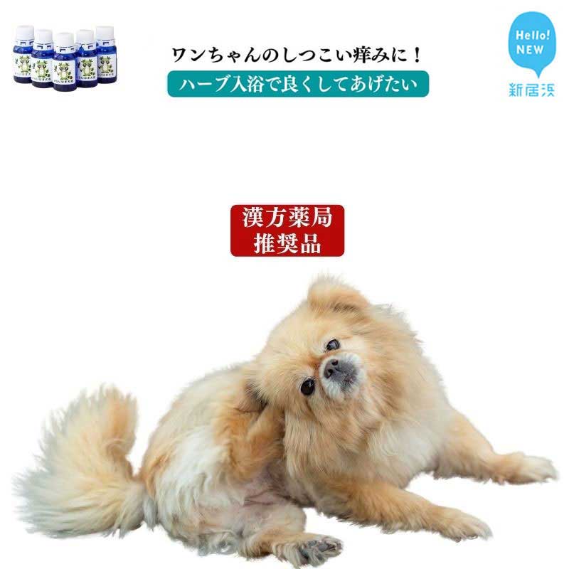 新やって行く勇気付ける特集