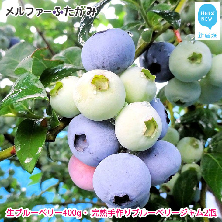 愛媛県新居浜市 えひめけん にいはまし ふるさと納税 国産 ふるさと納税 先行予約 ブルーベリー 旬にお届け 完全無農薬栽培 フルーツ 果物 完熟生 ブルーベリー400g 完熟手作りブルーベリージャム2瓶セット 愛媛県新居浜市 愛媛県新居浜市 えひめけん にいはまし ふるさと納税 国産 ふるさと納税 先行予約 ブルーベリー 旬にお届け 完全無農薬栽培 フルーツ 果物 完熟生 ブルーベリー400g 完熟手作りブルーベリージャム2瓶セット 愛媛県新居浜市