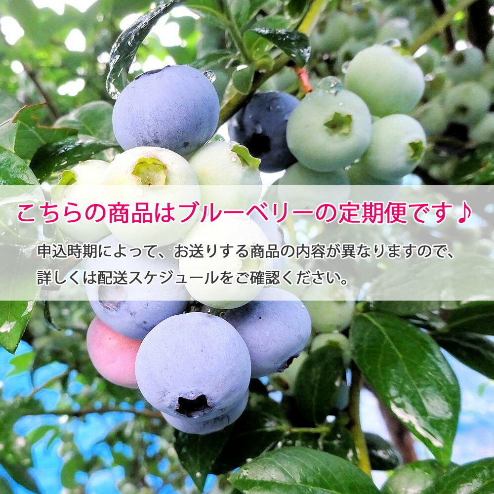 ブルーベリー三昧 Aセット 約8 5kg 4回発送 完全無農薬栽培 完熟生ブルーベリー 8月中旬以降は冷凍ブルーベリー 定期便 にいはまし ふるさと納税 フルーツ 果物 ブルーベリー ふるさと納税 愛媛県新居浜市愛媛県新居浜市 えひめけん ブルーベリー三昧 Aセット 約8 5kg 4回発送 完全無農薬栽培 完熟生ブルーベリー 8月中旬以降は冷凍ブルーベリー 定期便 にいはまし ふるさと納税 フルーツ 果物 ブルーベリー ふるさと納税 愛媛県新居浜市愛媛県新居浜市 えひめけん
