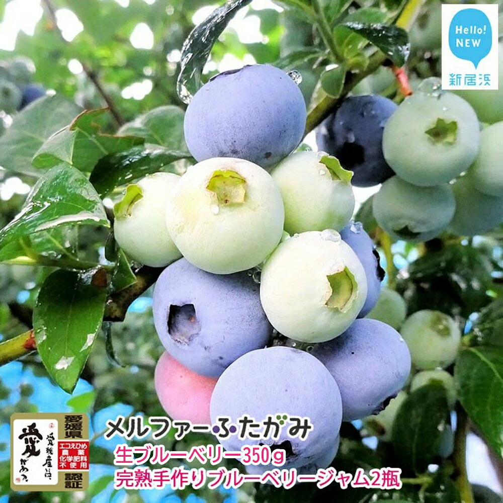 【ふるさと納税】【先行予約】【期間限定】 旬にお届け 完熟生ブルーベリー 350g 完熟手作りブルーベリージャム 2瓶 セット メルファーふたがみ エコえひめ認証 【寄附受付：8月10日まで】
