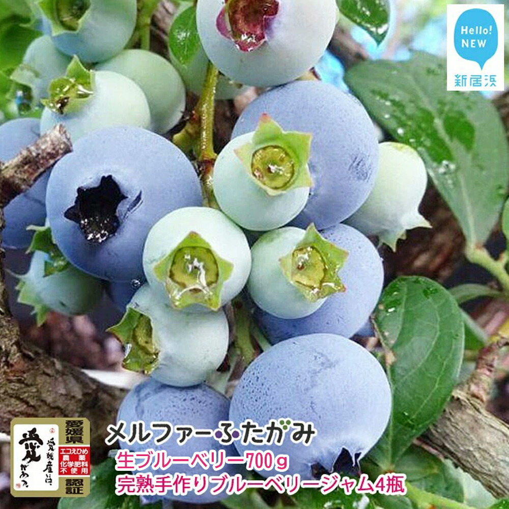 【ふるさと納税】【先行予約】【期間限定】 旬にお届け 完熟生ブルーベリー 700g 完熟手作りブルーベリージャム 4瓶 セット メルファーふたがみ エコえひめ認証 【寄附受付：8月10日まで】