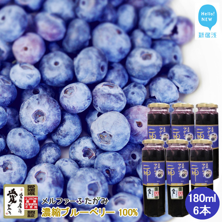 【ふるさと納税】 果汁 濃縮 ブルーベリー100％ 180ml 6本 セット エコえひめ認証栽培 国産 メルファ―ふたがみ