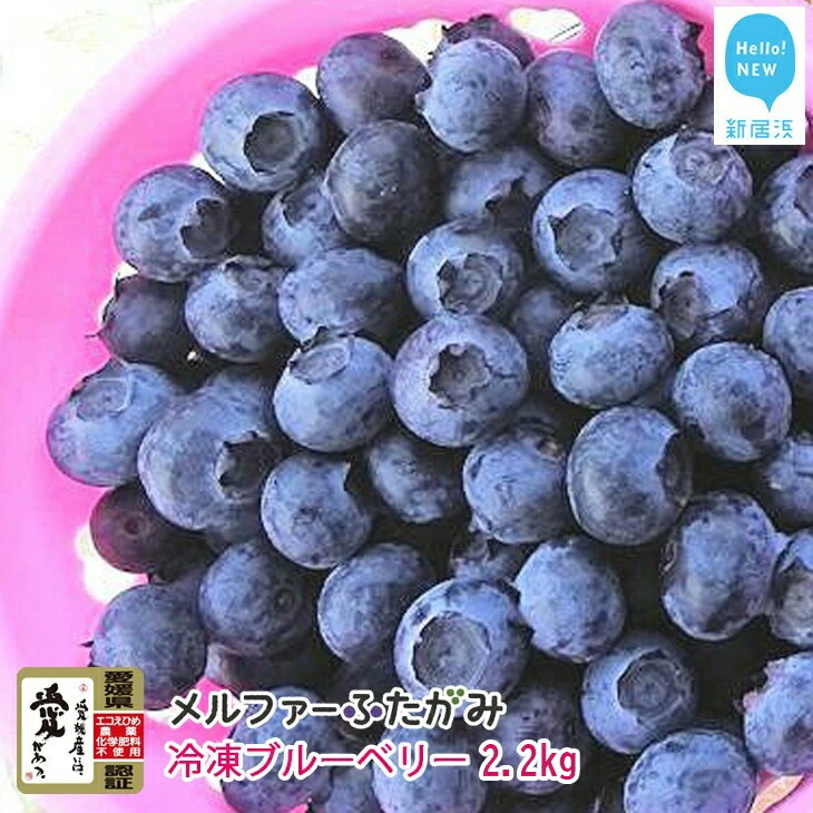 【ふるさと納税】【先行予約】 完熟ブルーベリー2.2kg（冷凍） 毎年人気の冷凍ブルーベリーです メルファーふたがみ